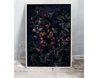 Moody art photography print of colourful blackberries on dark background. Printed on matte paper of fine art quality. By Ulrika Ekblom Photo