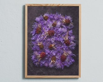 Photography art print of purple wild flowers and blackberries. Printed on matte paper of fine art quality.