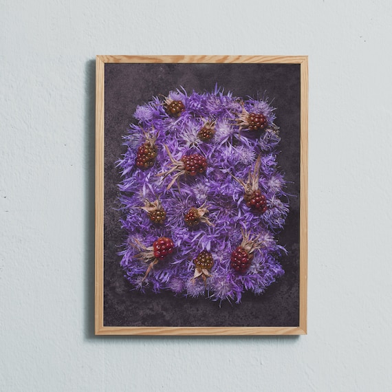 Creeping thistle and blackberries.