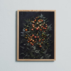 Stampa artistica di fotografia di cibo lunatico di natura morta di pomodoro. Stampato su carta opaca di qualità artistica. Di Ulrika Ekblom Fotografia.