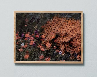 Photo art print from a late summer garden with orange and pink flower. Printed on matte paper of fine art quality.