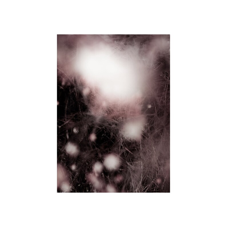 matte paper. Printed on a high quality Abstract photography art print of snowberries and grass in pink and dark burgundy