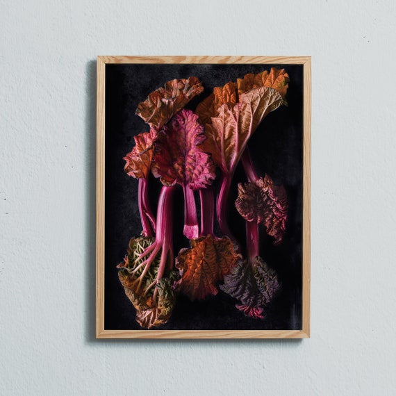 Rhubarb.