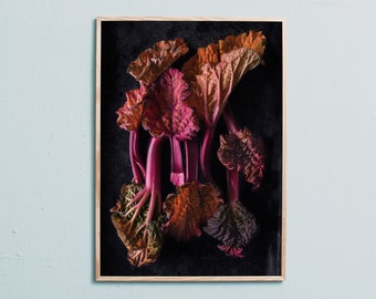 Art photography print of rhubarb. Printed on matte paper of fine art quality. By Ulrika Ekblom Photography.