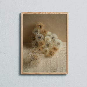 Stampa artistica fotografica di una natura morta con semi di fiori soffici. Stampato su carta opaca di qualità artistica.