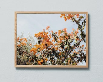 Photography art print of orange coloured Bougainvillea in Greece. Printed on matte paper of fine art quality. By Ulrika Ekblom Photography.