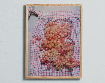 Art photography print of summer berries. White and pink currants. Printed on matte paper of fine art quality.