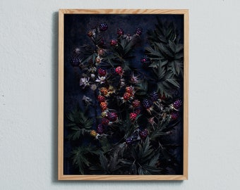 Blackberry Art Print: Moody Still Life Photography on Matte Paper