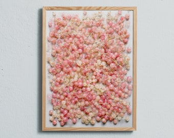 Art photography print of summer berries. White and pink currants. Printed on matte paper of fine art quality.