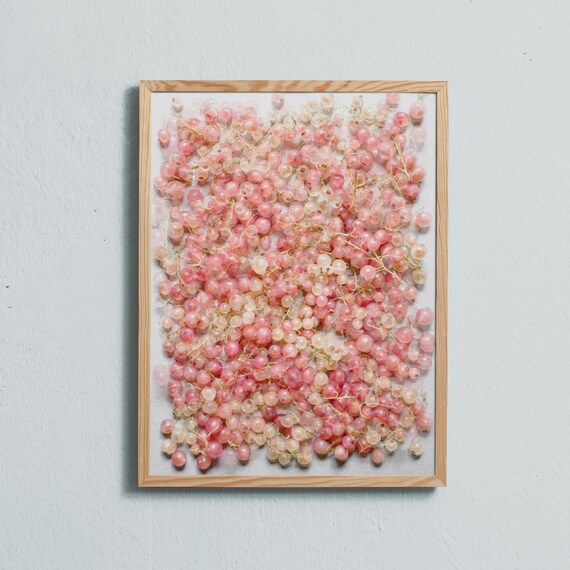 White and pink currants.