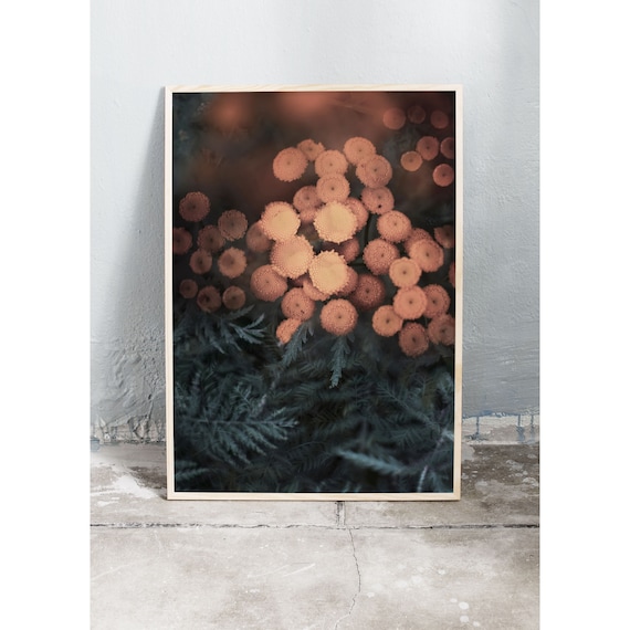 matte paper. Printed on a high quality Abstract photography art print of snowberries and grass in pink and dark burgundy