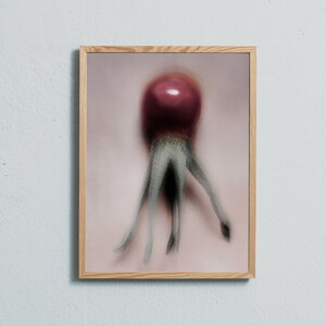Rose Hip Art Print: Soft Pink Botanical Photography