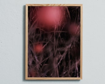 Abstract photography art print of the rose hip bush. Printed on matte paper of fine art quality.