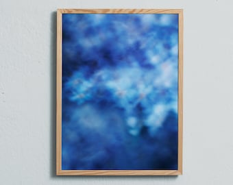 Photography art print of the blue flower forget-me-not. Printed on matte paper of fine art quality.