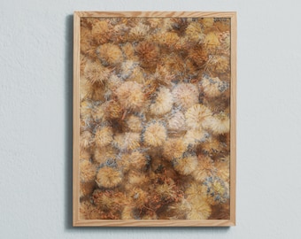 Photography art print of the dried flowers of the aster. Printed on matte paper of fine art quality.