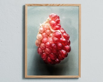 Photography art print of the red pomegranate seeds on a soft green background. Printed on matte paper of fine art quality.