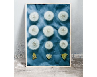 Photography art print o the white, fluffy dandelion seeds and butterflies.