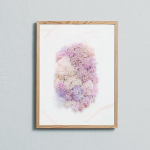 Pink & Purple Wildflower Photography Art Print