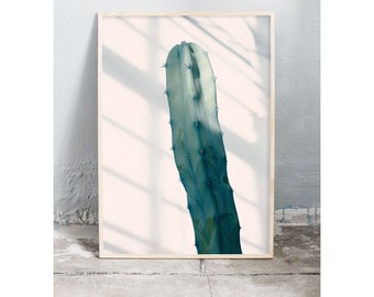 Photography art print of a green cactus in sunshine. Printed on matte paper of fine art quality.