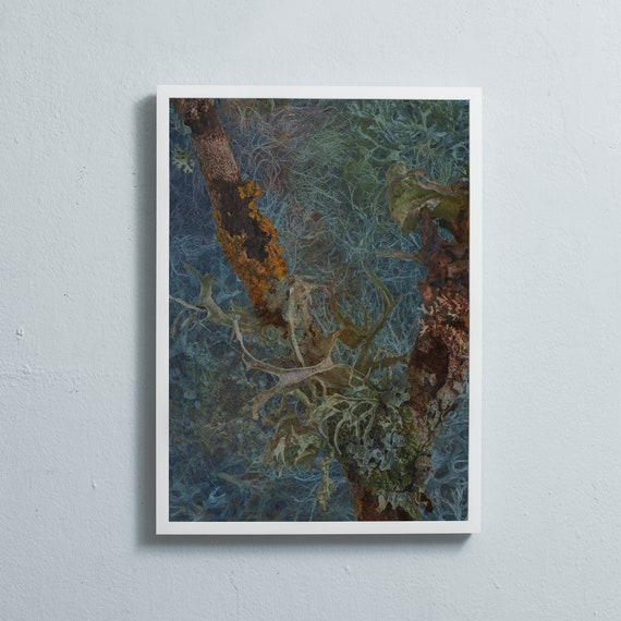 Lichen no. 04. Limited edition.