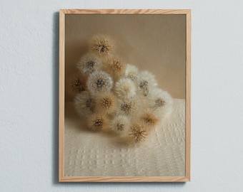 Photography art print of fluffy flower seed still-life. Printed on matte paper of fine art quality.