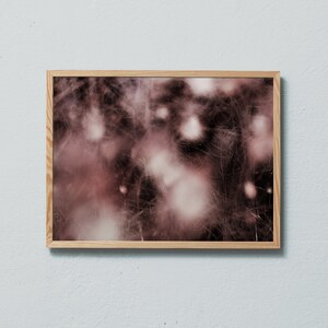Stampa fotografica d'arte astratta di bacche di neve ed erba secca nei colori rosa e bordeaux. Stampato su carta opaca di alta qualità.