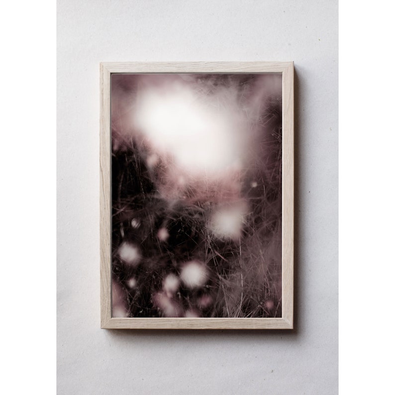 matte paper. Printed on a high quality Abstract photography art print of snowberries and grass in pink and dark burgundy