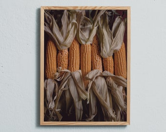 Art photography print of corn. Printed on matte paper of fine art quality. Sweetcorn, corn on the cob. By Ulrika Ekblom Photo