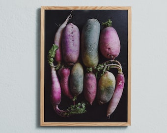 Food photography art print of different coloured radishes. Printed on matte paper of fine art quality. By Ulrika Ekblom Photography.