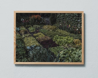 Photography art print from a late summer garden in the Italian Alps. Printed on matte paper of fine art quality.