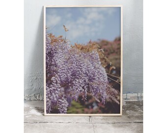 Photography ar print of wisteria in Copenhagen. Printed on matte paper of fine art quality.