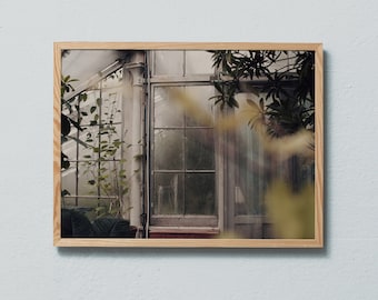 Photography art print from the Botanical garden greenhouse in Copenhagen. Printed on matte paper of fine art quality.