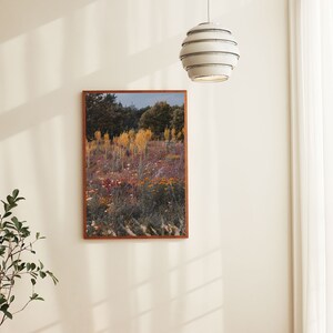 Photography art print of wild growing summer flowers on Gotland, Sweden. Printed on matte paper of fine art quality. image 8