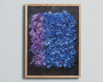 Photography art print of blue and purple wild flowers. Printed on matte paper of fine art quality.