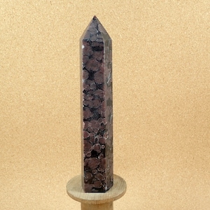 6.6in Astrophyllite with Garnet Tower - Smooth Polished Natural Stone Point Specimen - Collectible Mineral and Display Piece