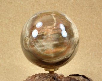 66mm Petrified Wood Sphere Mineral Specimen - Natural Stone Smooth Mineral Specimen for Rock Collectors and for Display