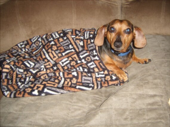 dachshund burrow bed