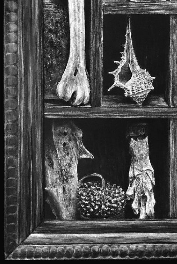 Curio Cabinet Skull Bones Nature Vials Butterfly Feather