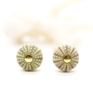 Sea Urchin Stud Earrings 14k Gold Filled