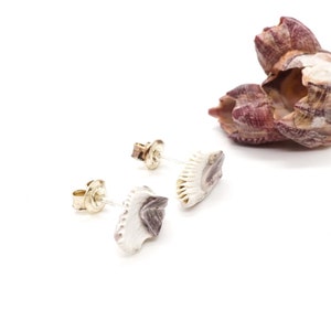 Barnacles Stud Earrings 925