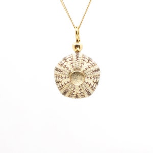 Sea Urchin Pendant 14k Gold Filled