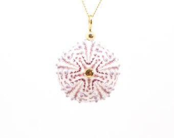 Pendentif oursin rempli d’or 14 carats