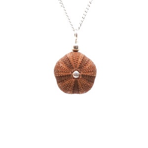 Sea Urchin Pendant 14k Gold Filled