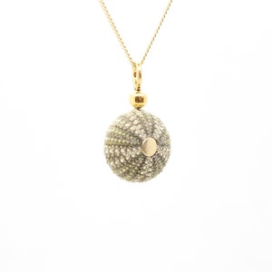 Sea Urchin Pendant 14k Gold Filled