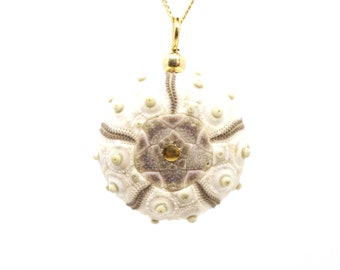 Sea Urchin Pendant 14k Gold Filled