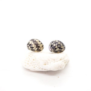 Puede incluir: Dos pequeñas conchas de mar con patrones en blanco y negro sobre una base de coral blanco.