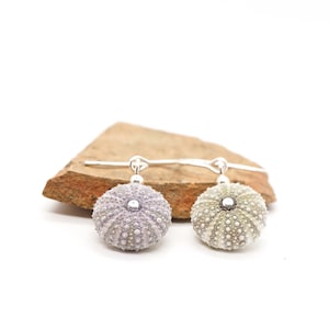 Puede incluir: Un par de pendientes de plata con un diseño de erizo de mar. Los pendientes están hechos de plata y tienen una pequeña perla de plata en la parte superior. Los erizos de mar son de color morado claro y beige claro.
