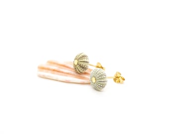 Sea Urchin Stud Earrings 14k Gold Filled