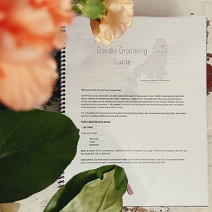 Illustrated Grooming Guide for Doodles and Poodles