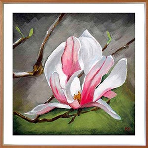 Magnolia